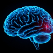 Brain Injuries from Medical Negligence When Oxygen Deprivation Causes Permanent Damage Brain Injuries from Medical Negligence: When Oxygen Deprivation Causes Permanent Damage